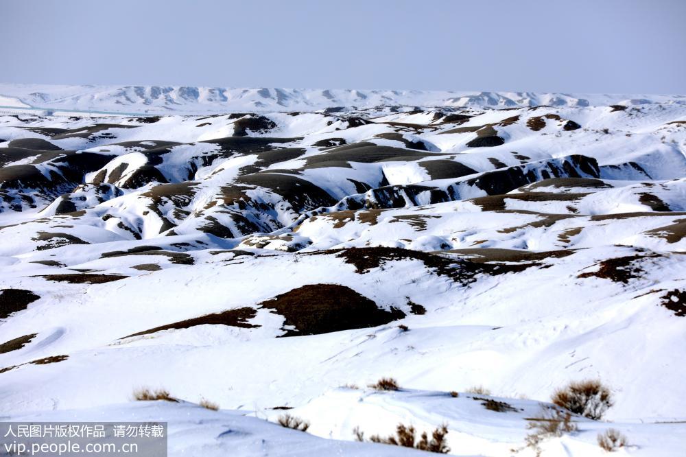 新疆北屯丰庆湖国家湿地公园融雪美如画【2】