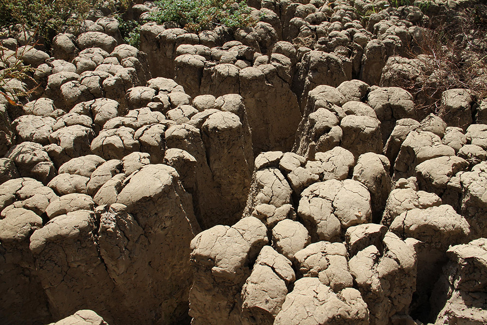 ����2016��4��19�������ױ����׶��µúͿ��н�������İ�ά˹ˮ��ɺԵĿ�ס��»������ �ⳤΰ ��