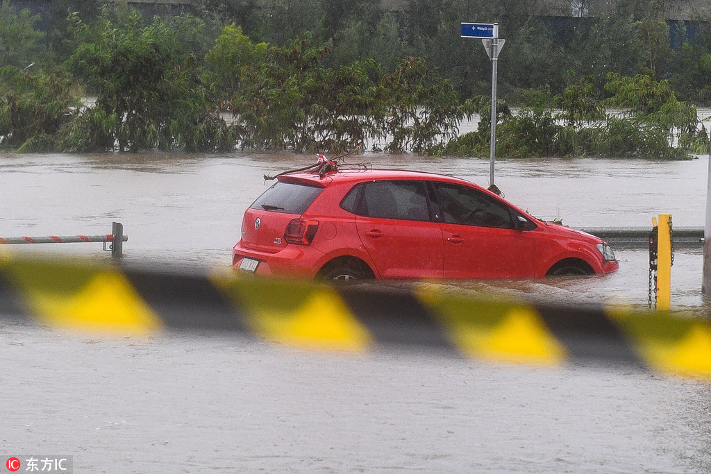 熱帶風暴“黛比”襲擊澳大利亞昆州 鯊魚因洪水被沖上岸【4】
