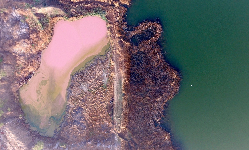 天津市靜海區佟家庄村附近滲坑中的污水呈現粉色（左側）（4月20日攝）。