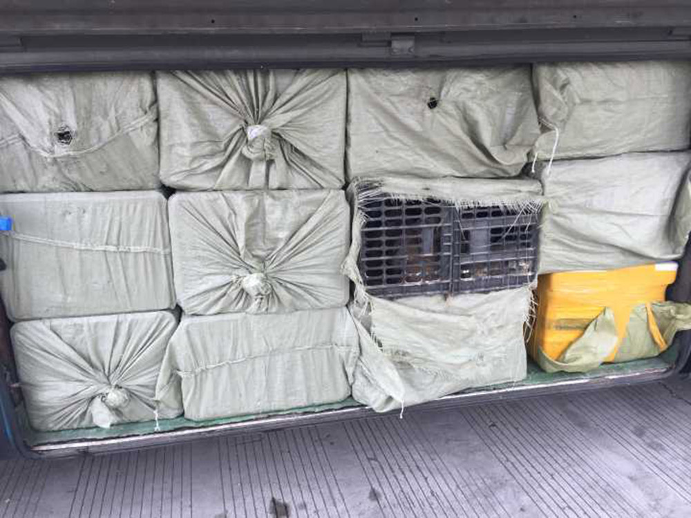 4��25���賿���㽭���˸��ٽ����������ִ��ʱ����������������һ���Ƿ�������Ҷ�����������èͷӥ�ĳ�������ͳ���������͵����229ֻèͷӥ��