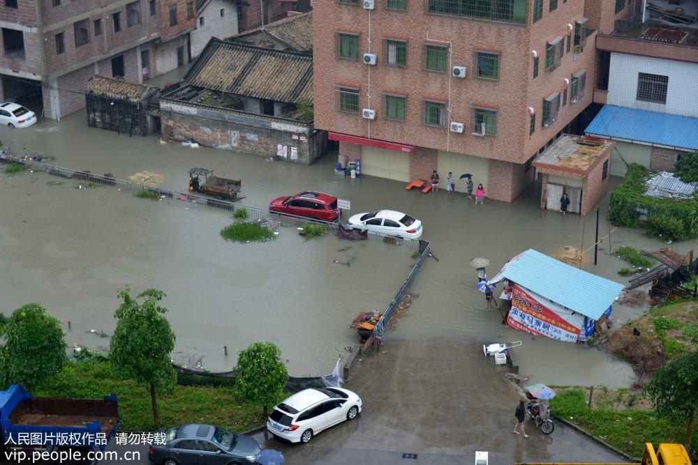 广州:清晨暴雨来袭 乡村积水严重