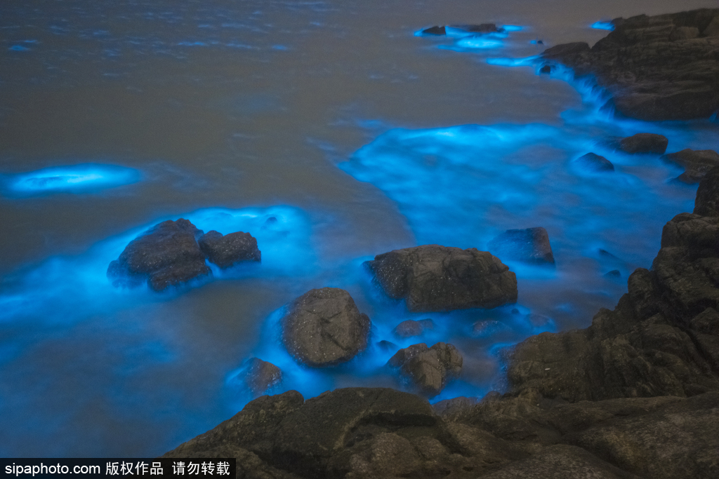 福州长乐海滩现荧光海
