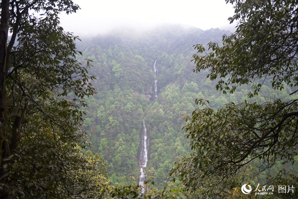 ����ɽλ���й�������������Ļ��������ĸ��ĵأ�ɽ��������õ�ԭʼɭ�ֺ;޴��ɽ��ƽ̨�γ���Ȼ�ĺ�ˮ�������������ɽ�ٲ����õ����������޴������ڶࡣ�������� ���� �㣩