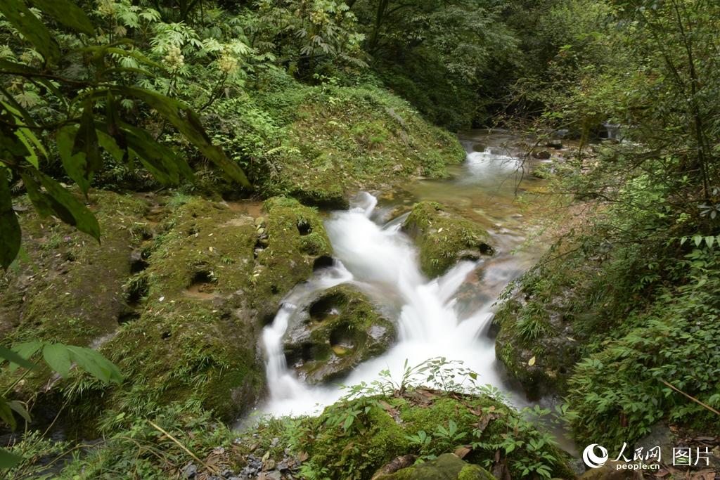 ����ɽλ���й�������������Ļ��������ĸ��ĵأ�ɽ��������õ�ԭʼɭ�ֺ;޴��ɽ��ƽ̨�γ���Ȼ�ĺ�ˮ�������������ɽ�ٲ����õ��������������� ���� �㣩