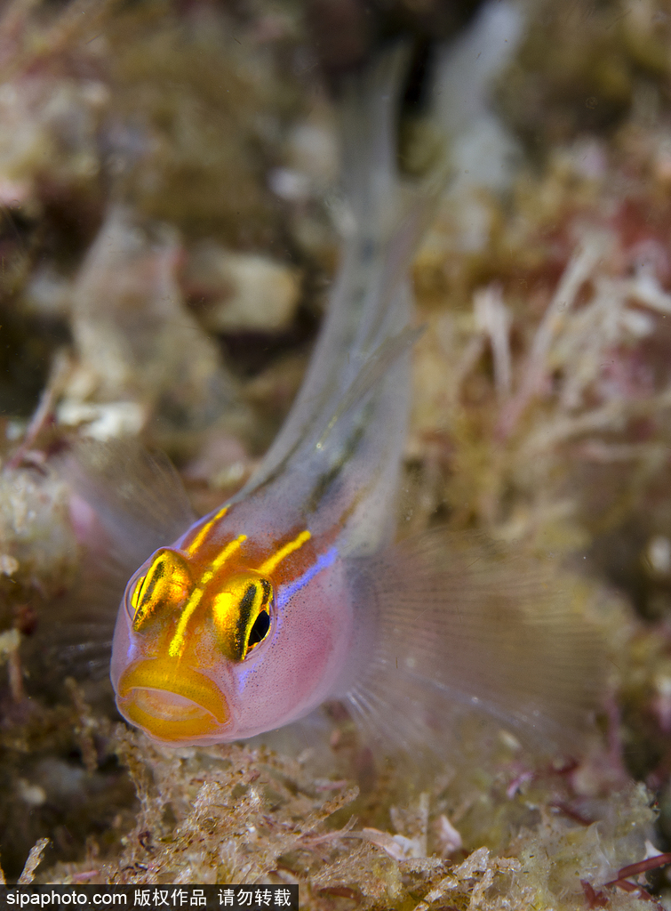 ˮ�°�͸�� �����ˮ�����硾6��