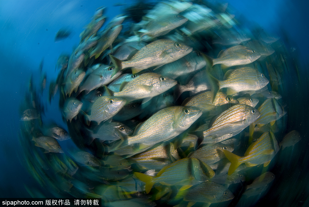 ˮ�°�͸�� �����ˮ�����硾4��