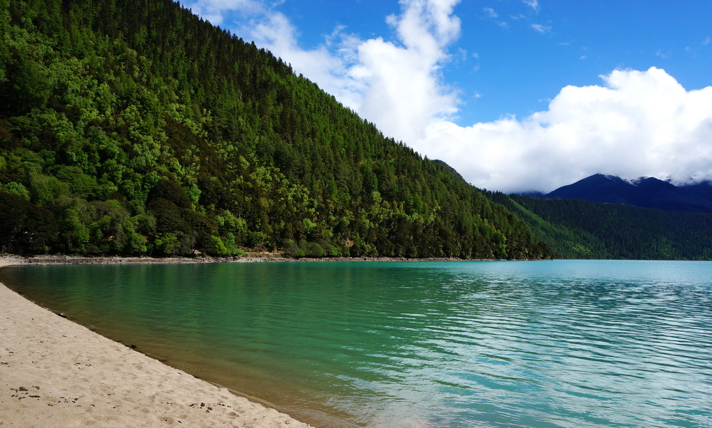 ��������Ȼ�� ���ش������ɴ���������5��