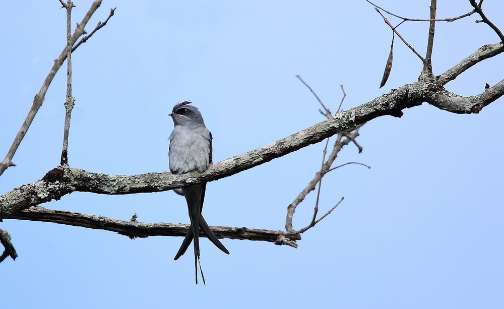 �����ҿ�������ͷ���� ����ʡ�º���â��һС���Ӱ���10�꣩������ӯ��