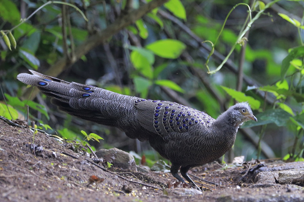 ����......�����ҿ�ȸ�� ����ʡ�º���â��һС���Ӱ���10�꣩������ӯ��