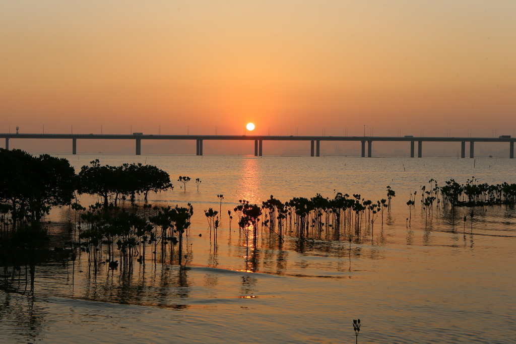 ����������½������°������������侰�ۣ�2��18���㣩����������ԭ��̬��ʪ�ؼ������־��ۣ�����Ϊ��۹���������ѵص㡣�»������������