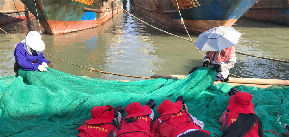 11.Ů��Ӱ�Ҳɷ紴�����ƽ�����Ӱ