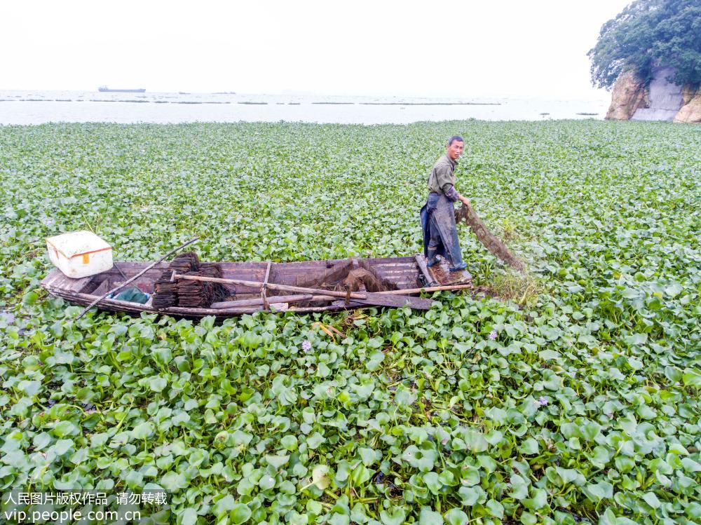 ǿ������۶�������ٱƽ�����ˮλ��5��