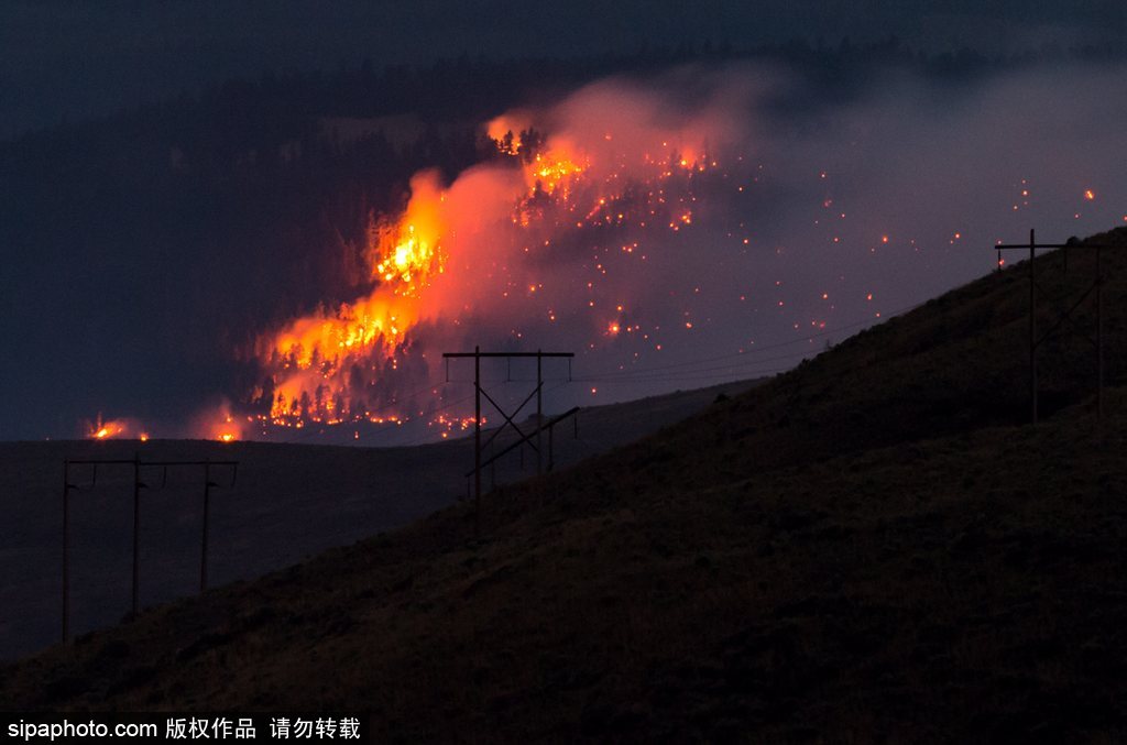 加拿大卑詩省山火蔓延 近7000人被疏散全省進入緊急狀態