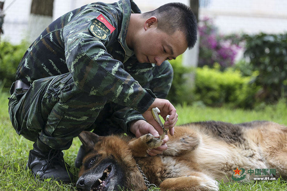 ��Ȯ��Խ�ġ����ԡ����ס�24��