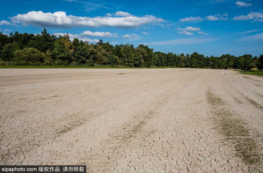 法國中部遭遇干旱 河床龜裂觸目驚心