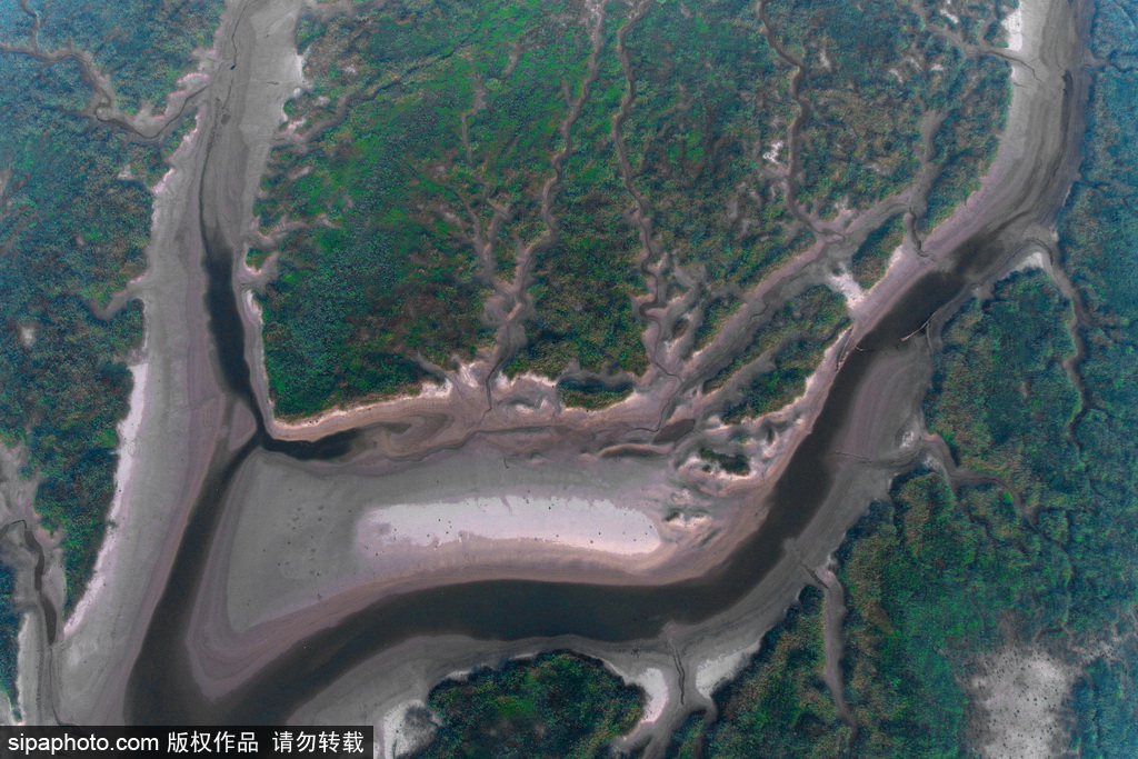 ����̲Ϳ���� ��Ӱ��б��Ȥ��ɡ�5��