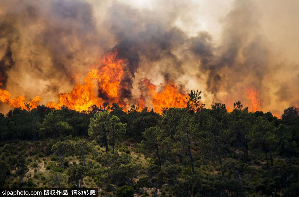 法國東南部森林大火蔓延 城市上空濃煙滾滾