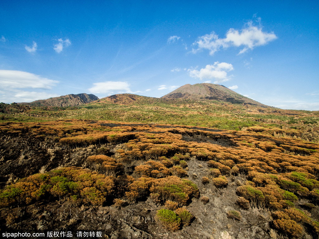 意大利維蘇威火山山火過后 地表“斑駁”成焦土【4】