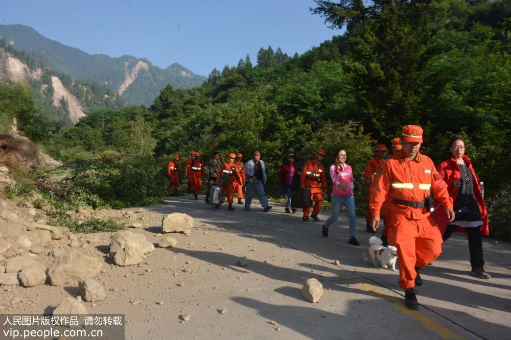 �侯��կ��ɭ���жӹٱ����������Ѿ�ת�Ʊ���Ⱥ�ڡ�5��