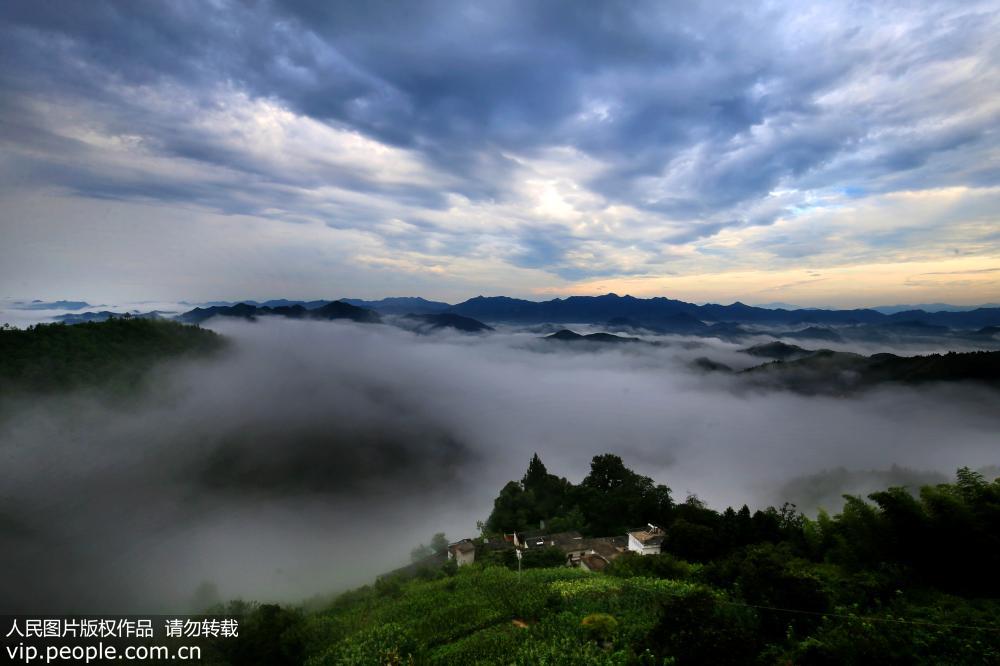 安徽黃山：皖南石潭雲海 唯美壯觀