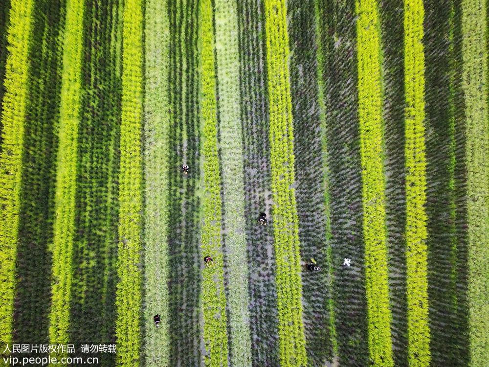 ����̨��������ʵ��ȡ�����������3��