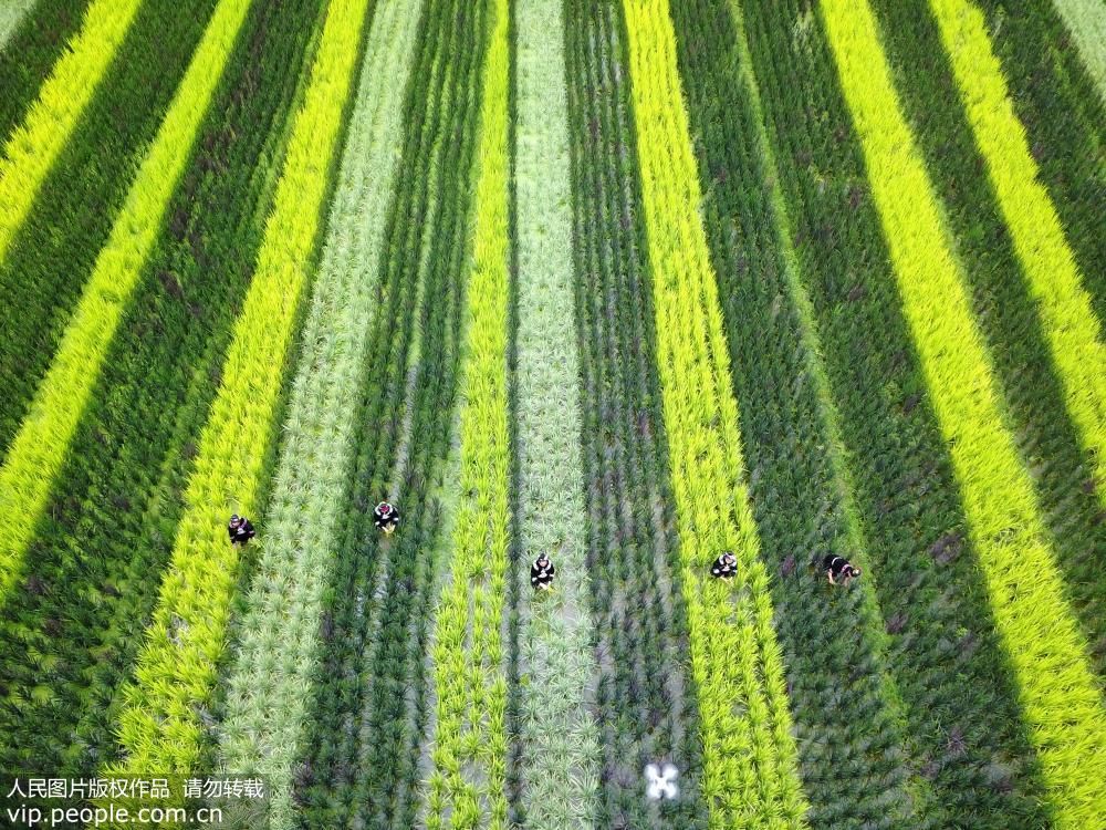 ����̨��������ʵ��ȡ�����������2��