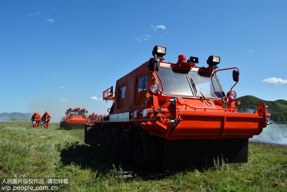 ���ɹ�ͨ�ɣ��侯ɭ�ֲ��ӡ����Աȡ��ֳ����Ƭ��5��