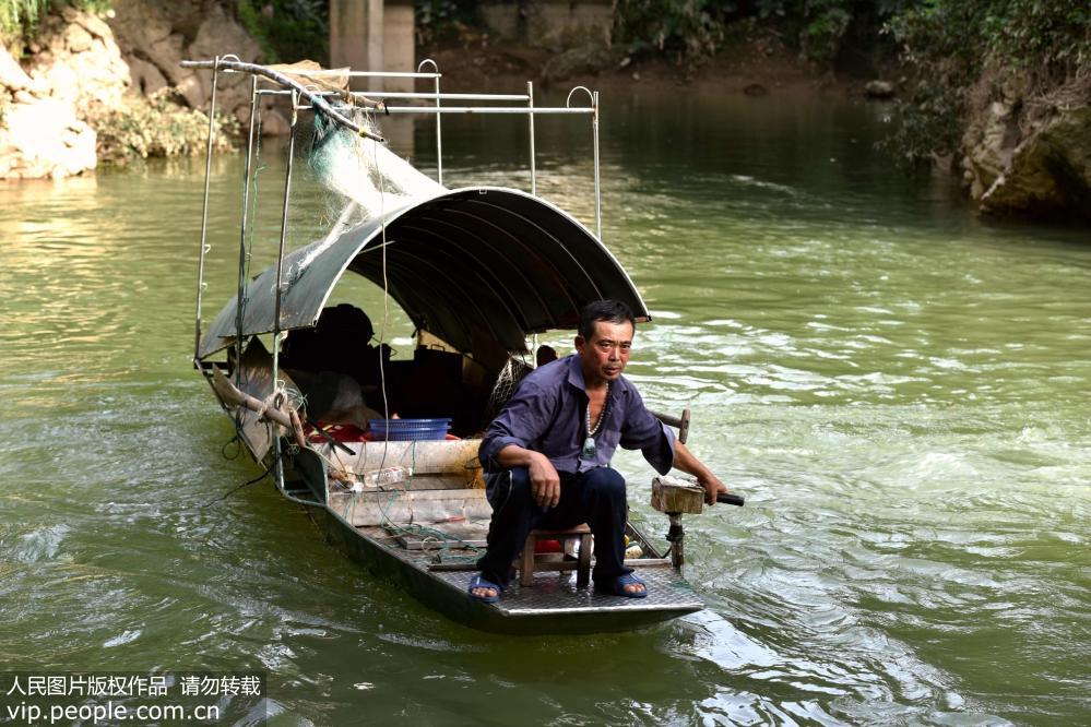 廣西河池：城區內河發現來歷不明鱷魚【5】
