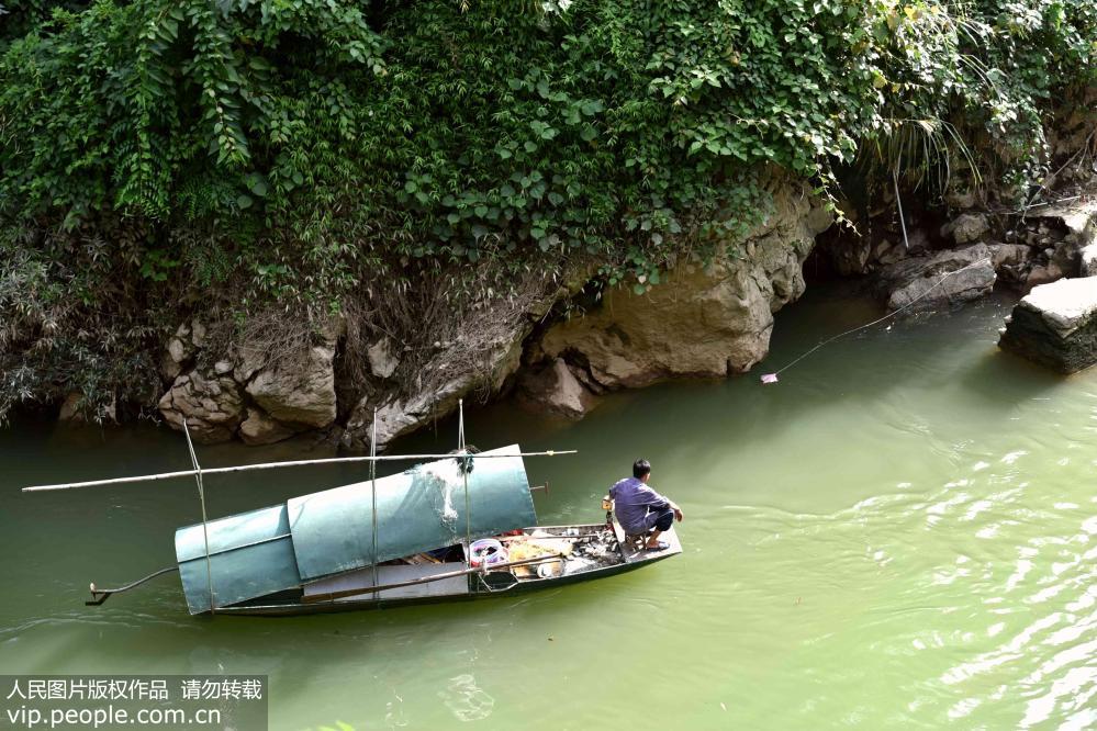 廣西河池：城區內河發現來歷不明鱷魚【6】