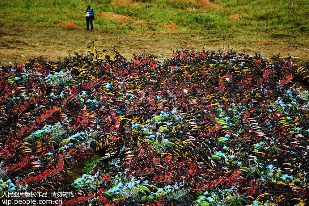 杭州共享單車密密麻麻堆積如山 場面壯觀【4】