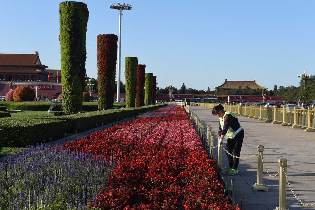 9月17日，天安門廣場兩側綠地的花柱、花球及花帶已經基本完工。 新華社記者羅曉光攝
