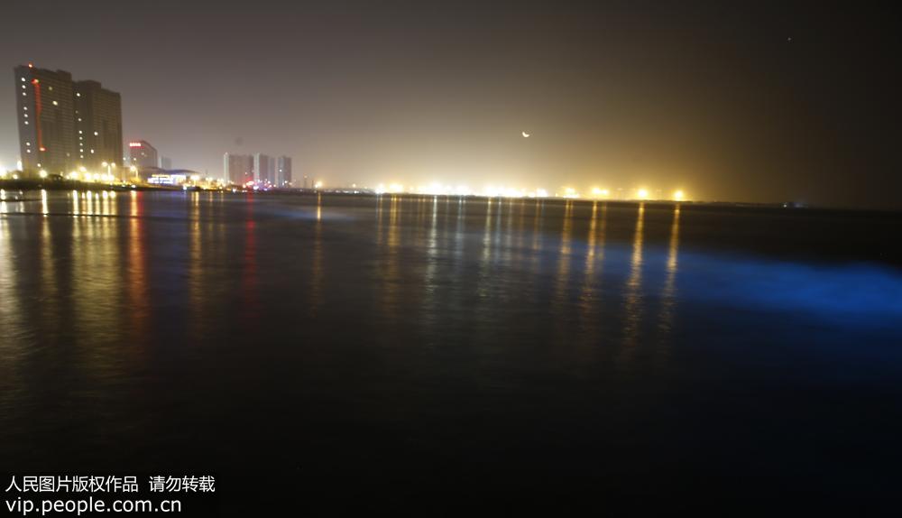 2017年9月17日凌晨，在河北省秦皇島市金夢海灣浴場拍攝的“熒光海”。