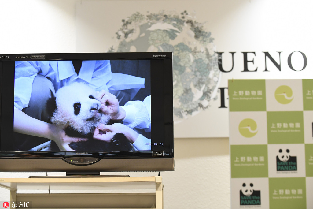 上野動物園熊貓寶寶迎來百天紀念日 名字近期公布【5】