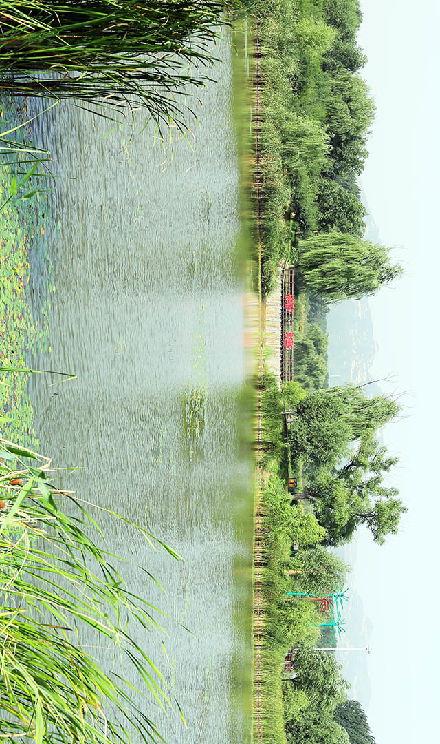 2017��2017�꣬�ӱ���������ӻ�����̬ʪ�ع�԰��ɫ��