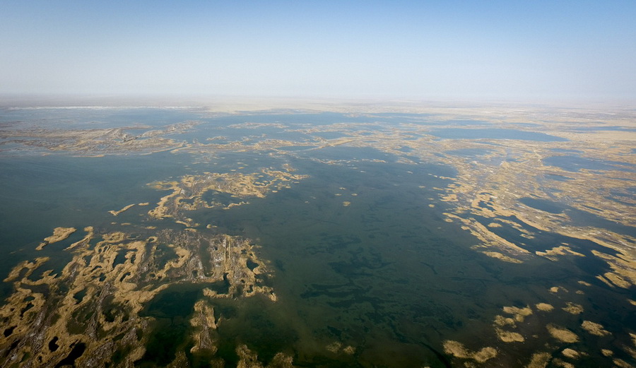 这是空中俯瞰塔里木河尾闾台特玛湖（10月22日摄）。