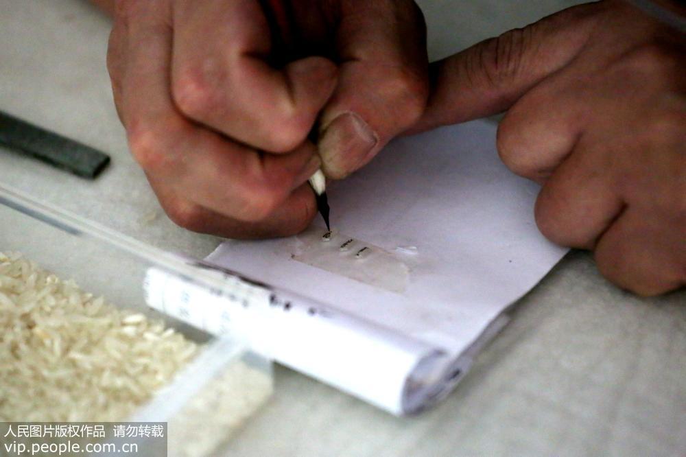 2017年11月1日，江西省金溪縣秀谷一小教師鄧貢民正在創作自己的“米書”。