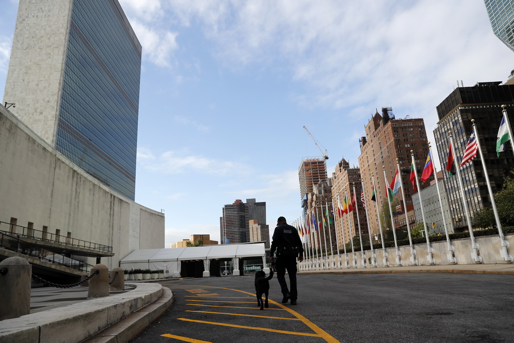 10月13日，在位于纽约的联合国总部，联合国防爆警犬搜查队警员艾奇逊牵着警犬赫克托去工作。