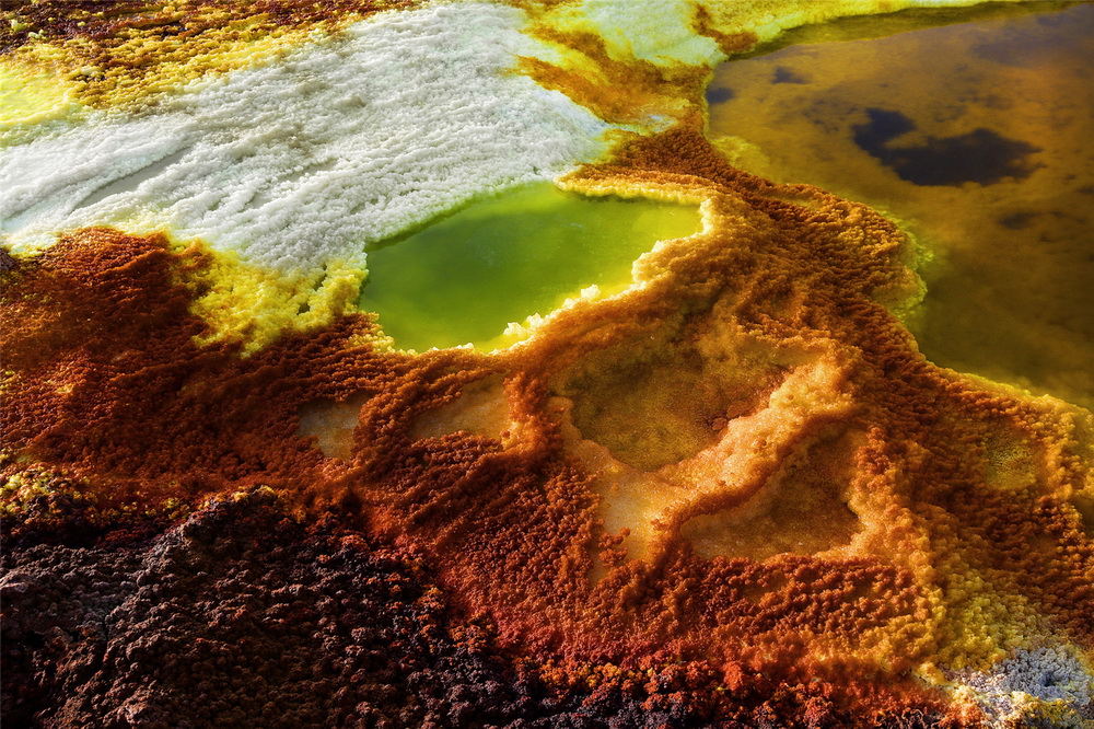 ��ɫ�ʰ�쵵����Һ���4 