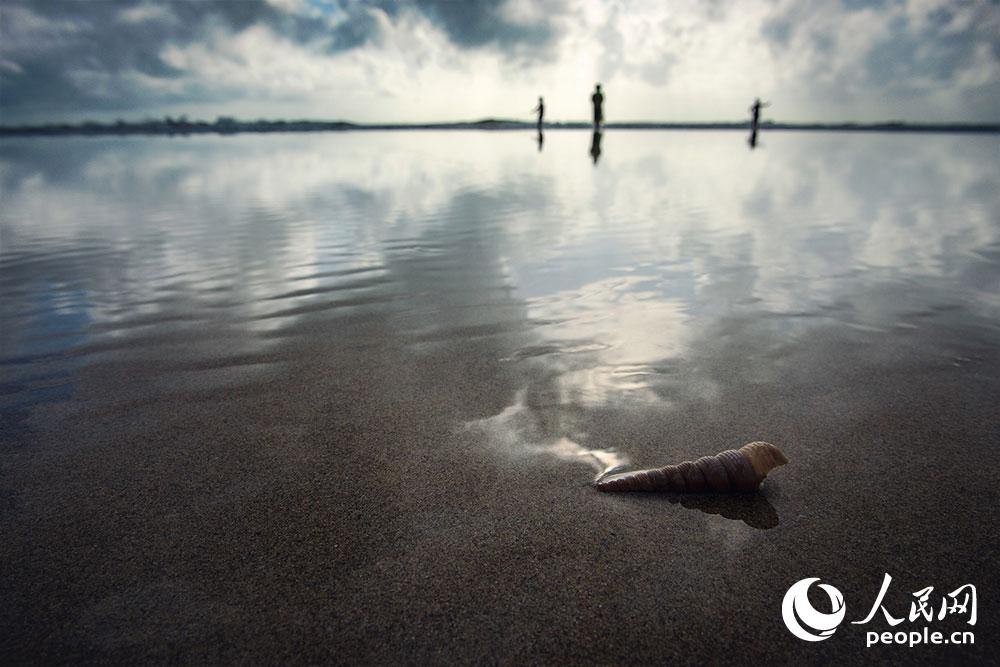 ӵ��᭸۵ı̺����� ��4��