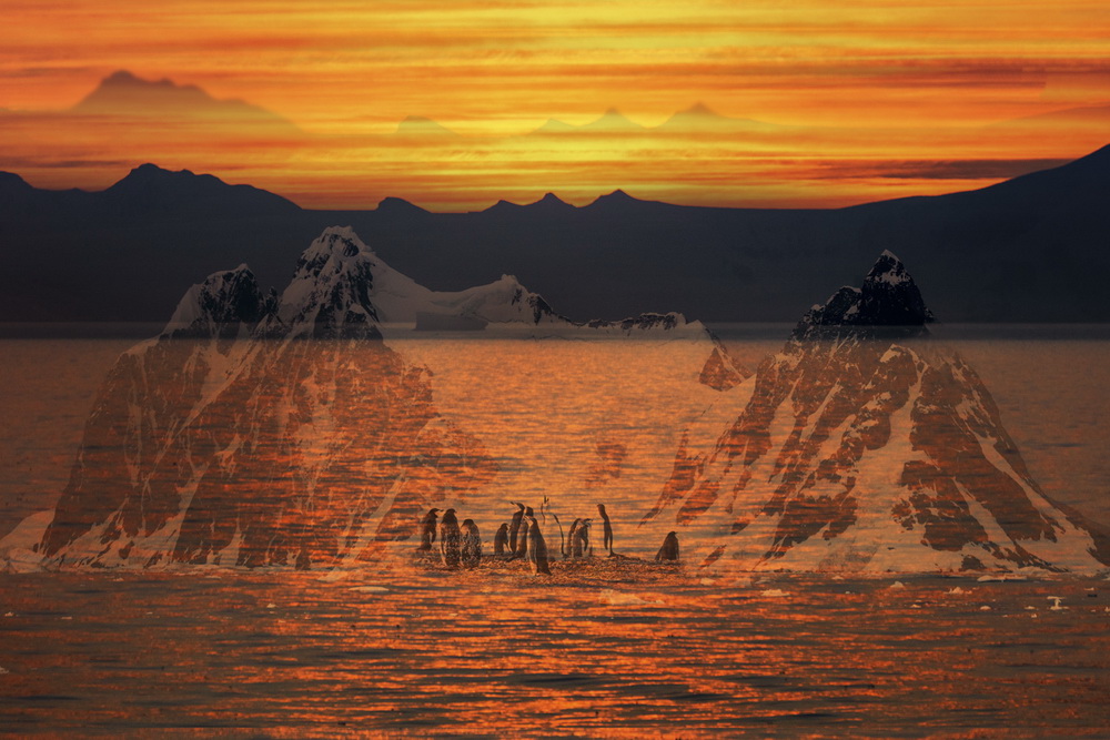 ���գ����ϼ��ǳ�����������ղؽ�---�й��� ������ �ҵ��Ρ���Ӱ����չ��