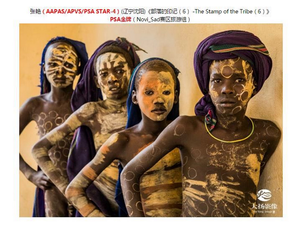 �������ӡ�ǡ�2017������ά�ǵ�������ӰѲ�� FSS���ơ� 