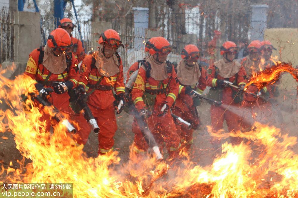 11月14日，武警大興安嶺地區森林支隊滅火隊員正在組織班（組）滅火戰斗訓練。