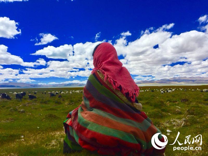 西藏阿裡——世界屋脊的屋脊美如畫【6】