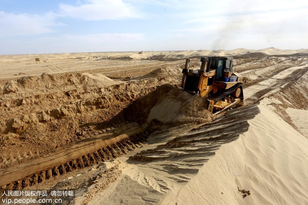 河南两兄弟新疆沙漠开荒种枣 十年种大枣2万亩