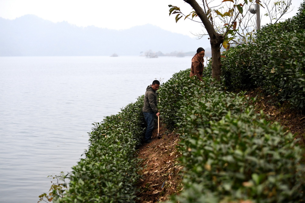 11��14�գ���Ҿ�����������������վ���ߵ�ɽ���ϴ����ԼҲ�԰���»������ �Ŷ� ��