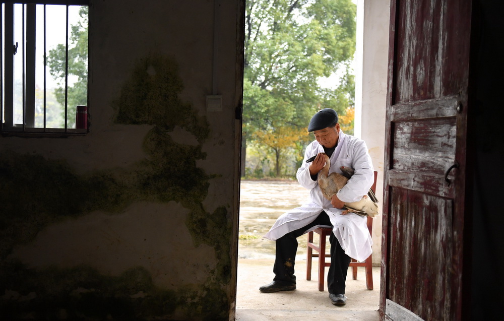 11��28�գ�����ڰ���һֻ���˵ĺ��㡣