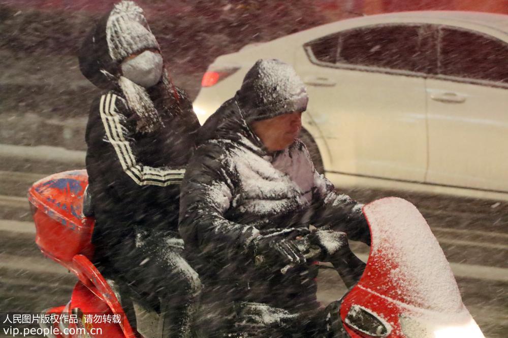 11月30日，市民在山東省煙台市北馬路冒雪出行。