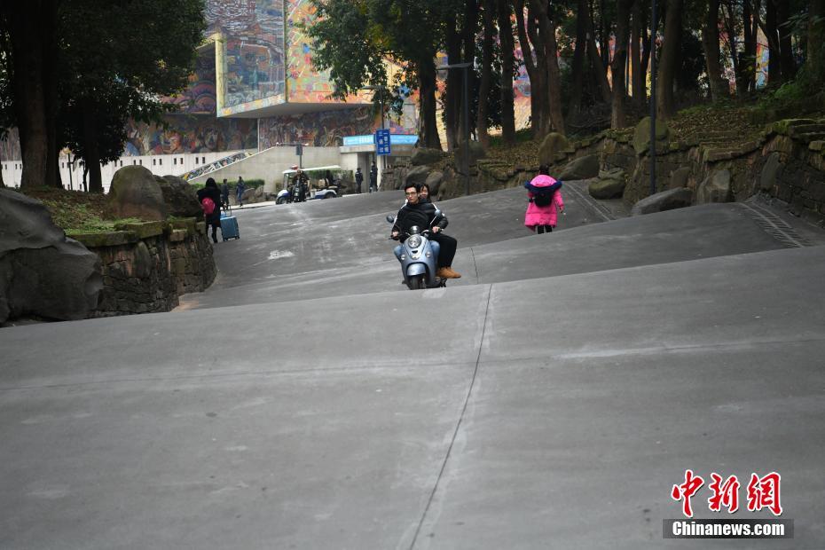 車輛緩緩經過波浪路。