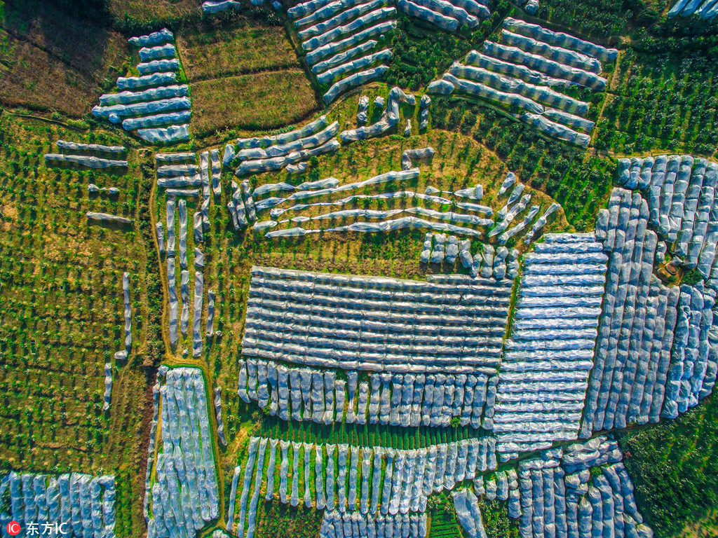 �ɶ�ǧĶ��̴������������ �߿ո�������ֲ��ϸ������׳�ۡ�3��